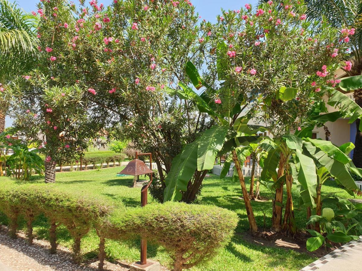 Djeliba Resort Serrekunda Exterior foto